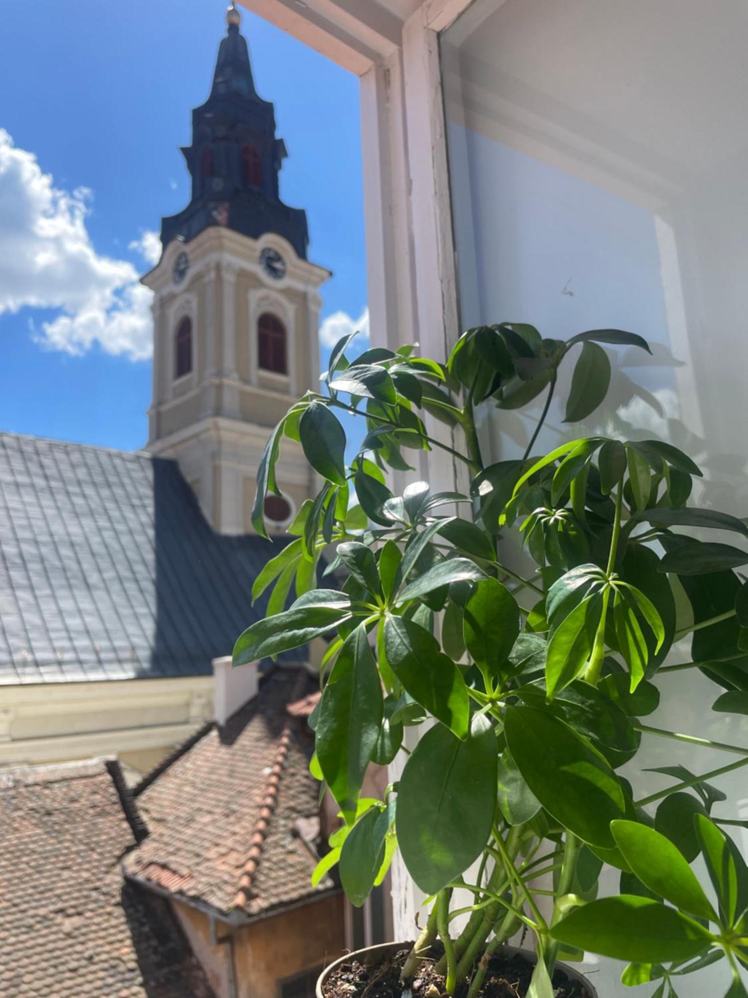 Apartament Ultracentral Alecsandri 1 Орадеа Екстериор снимка